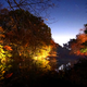 Image for article titled 48 Photos Of Autumn Around The World